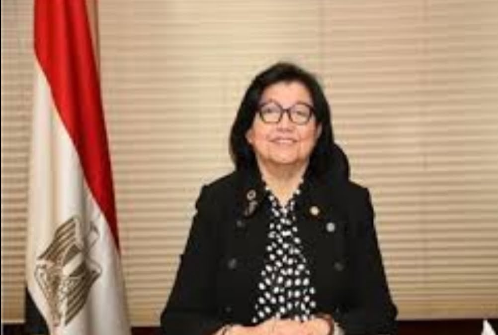 لميس نجم تشيد بشباب حملة “منطقتى” لتجميل شوارع كفر العلو وعرب راشد بحلوان