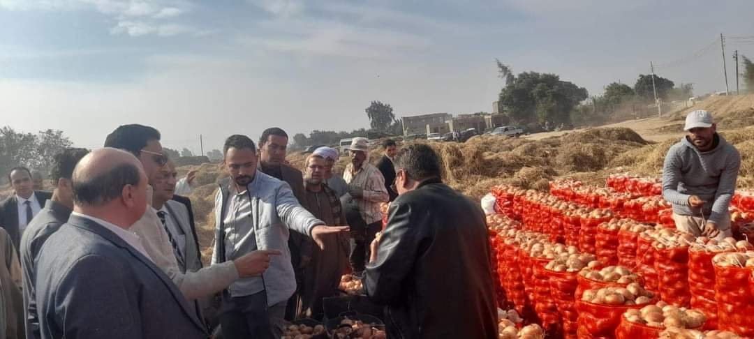 حملات تفتيشية على مفارش البصل لدى التجار في جميع المحافظات