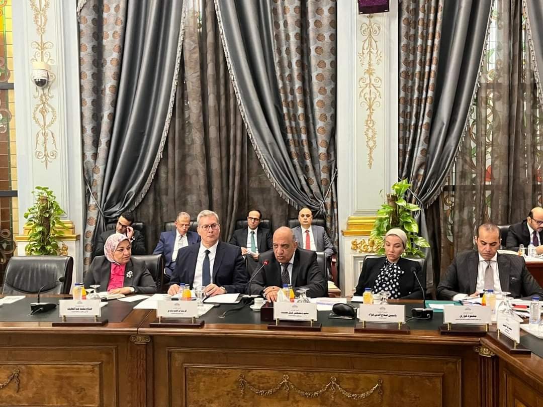 عرض برنامج عمل وزارة الكهرباء والطاقة المتجددة لتحسين جودة الخدمة أمام اللجنة البرلمانية