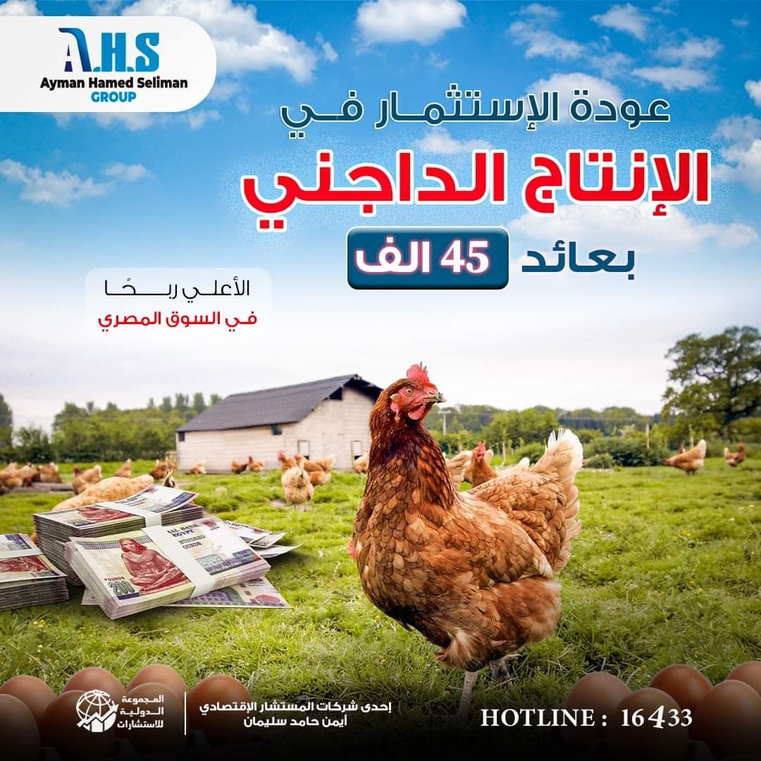 مجموعة AHS تعلن فتح باب المشاركة بالاستثمار فى “الإنتاج الداجنى”