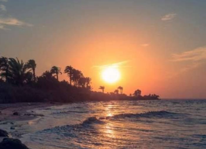 بحيرة قارون تعود للحياة عقب معالجة التلوث وتحسين الملوحة بها