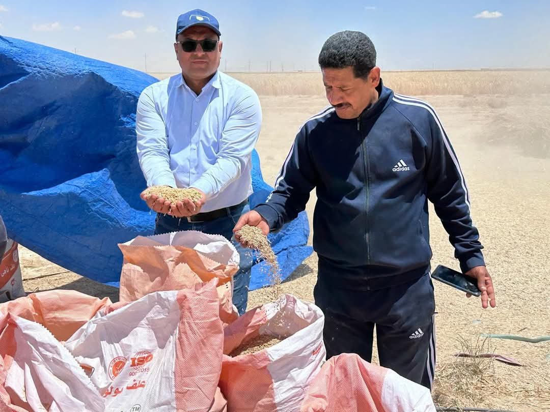 متابعة جهود “بحوث الصحراء” و “الزراعة الآلية”  لحصاد القمح والشعير بشمال وجنوب سيناء