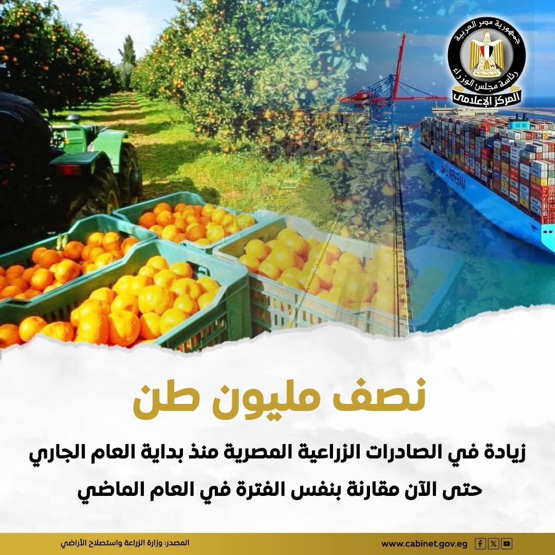 زيادة الصادرات الزراعية المصرية إلى 4.8 مليون طن منذ بداية العام