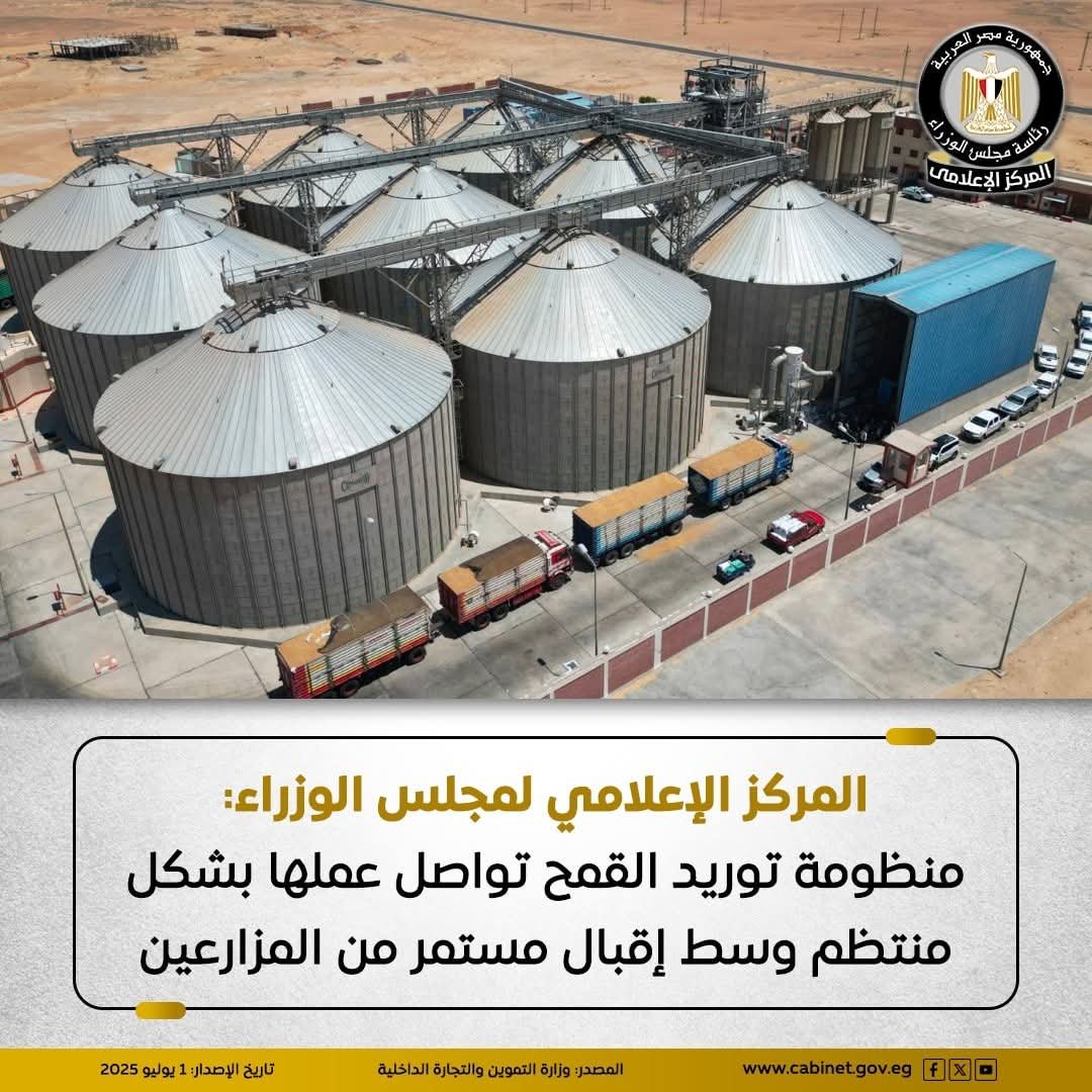 منظومة توريد القمح تواصل عملها بشكل منتظم وسط إقبال مستمر من المزارعين