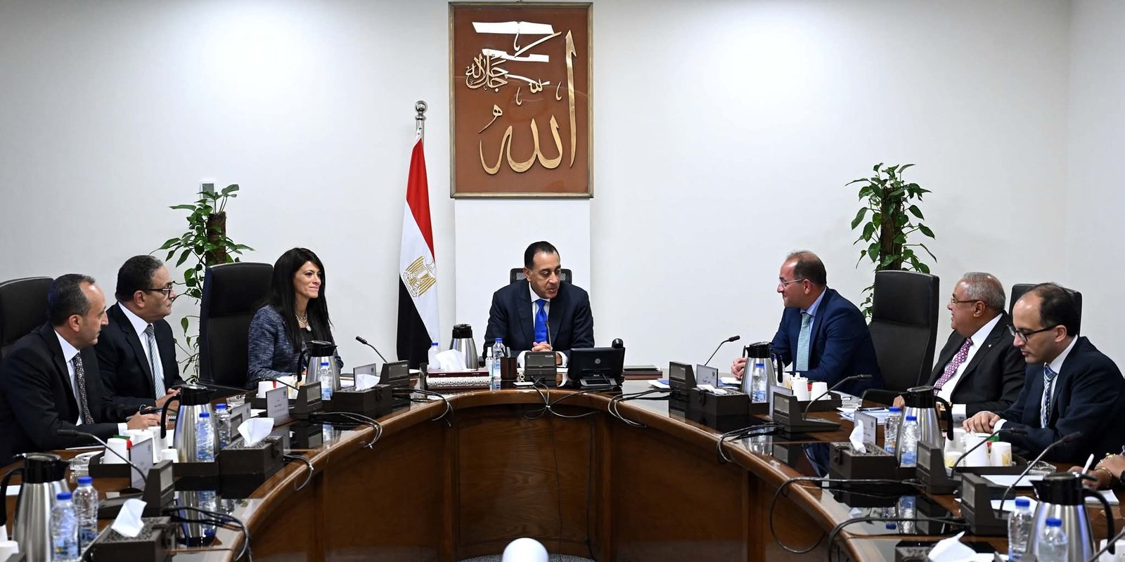 متابعة آليات تنفيذ قانون تنظيم بعض الأحكام الخاصة بملكية الدولة فى الشركات المملوكة لها أو التى تساهم فيها