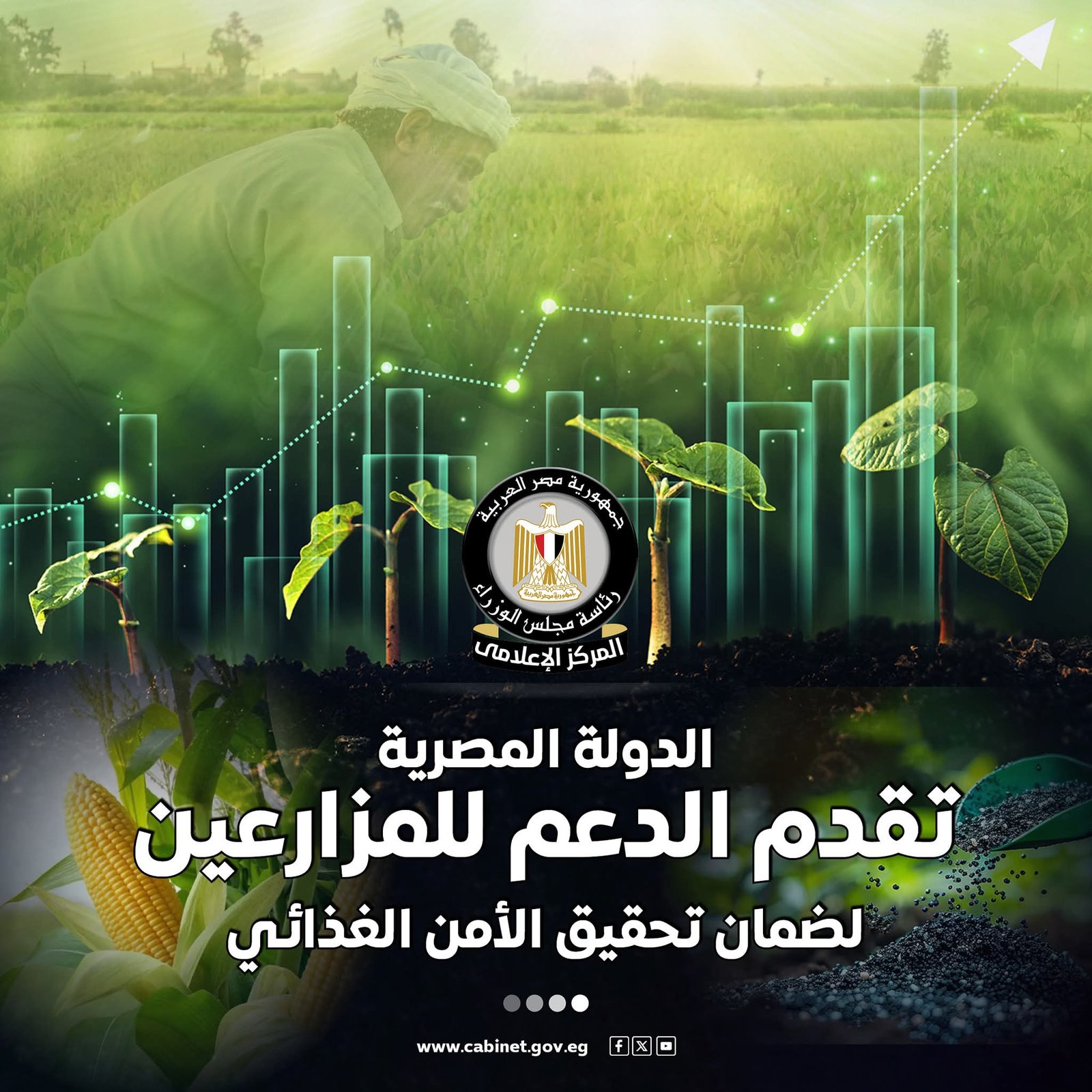 دعم غير مسبوق للمزارع المصرى لضمان تحقيق الأمن الغذائى