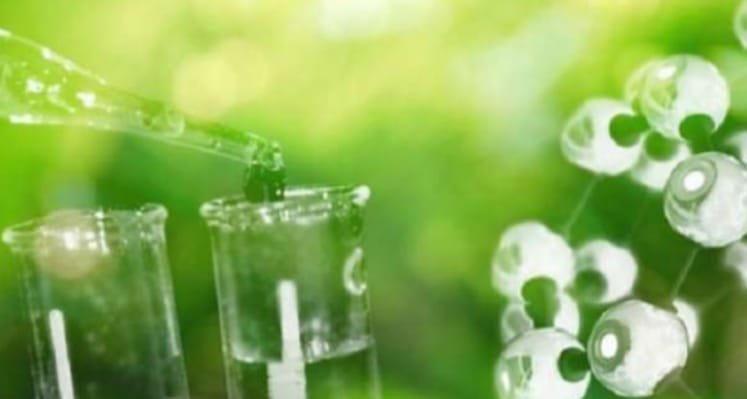 بحث مستجدات مشروع الأمونيا الخضراء بشركة النصر للأسمدة