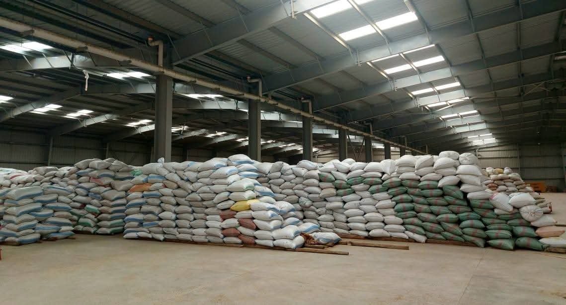 البنك الزراعي المصري يُنهي استعداداته لاستقبال موسم توريد القمح 2026