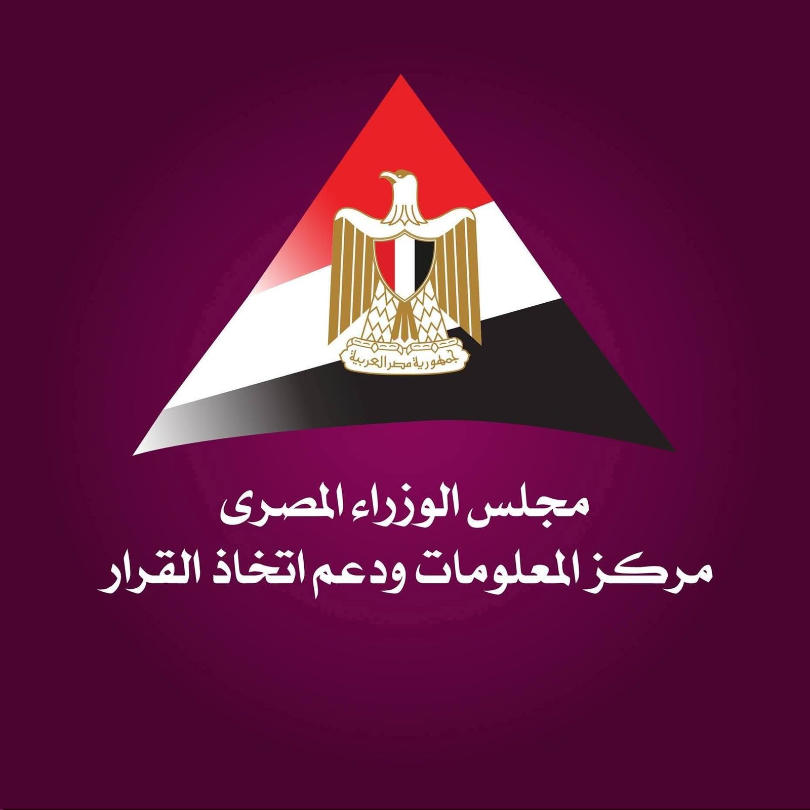 مركز  المعلومات ودعم اتخاذ القرار يتناول اقتصاد البيانات الأفريقية