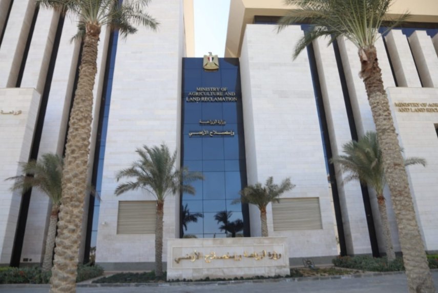 الانتهاء من حصاد 60% من محصول الأرز وتدوير 610 آلاف طن قش لمواجهة “السحابة السوداء”